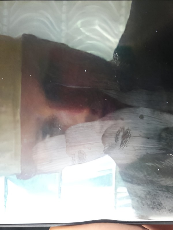 Тамара привлекательная девушка из Жуковка цена от 5000 руб